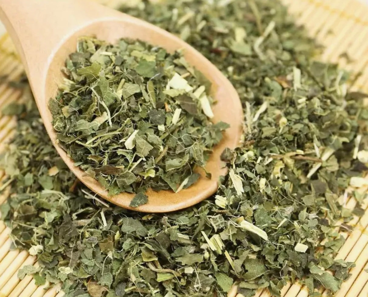 Nettle Leaf Tea