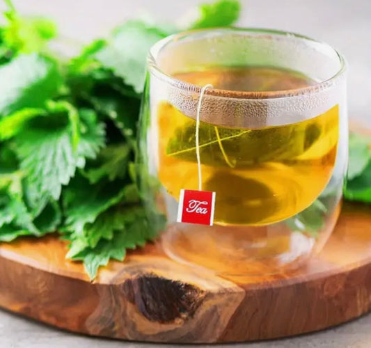 Nettle Leaf Tea